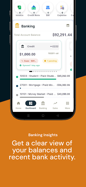 EazeAccounts Screenshot 3