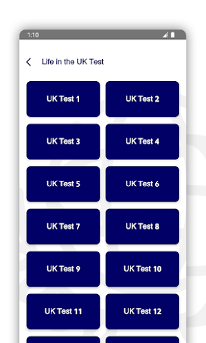 Life in the UK Test Screenshot 1