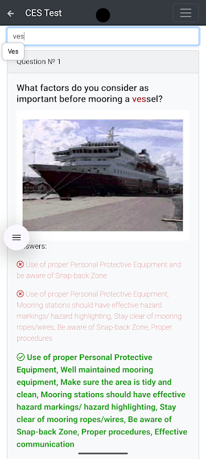 Non-RORO passenger CHaS Supp Screenshot 2