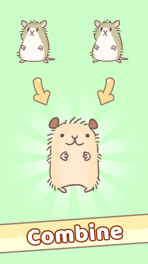 Hamster Race Screenshot 0