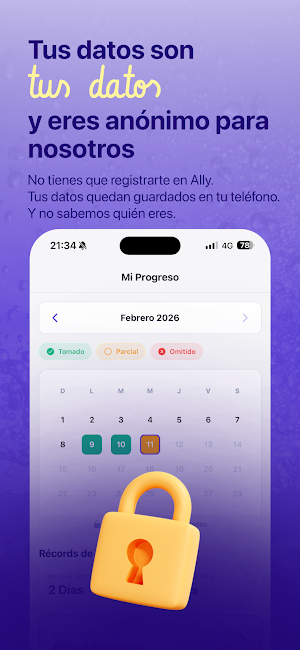Ally Screenshot 2