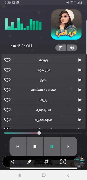 اغاني تغريد العشرة 2023 دون نت Screenshot 2