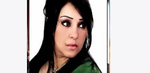 أغاني الشابة دليلة بدون نت Screenshot 3
