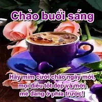 Good morning and evening