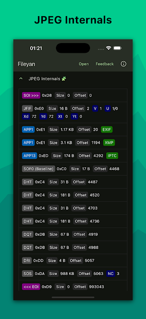 Fileyan Screenshot 3