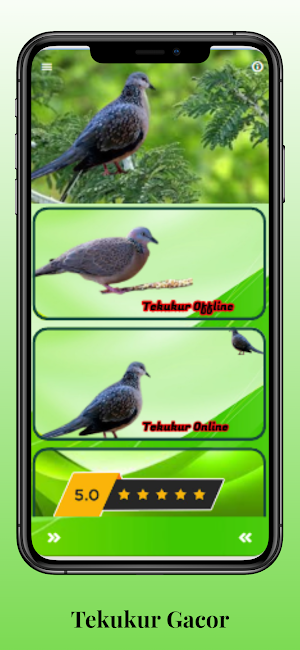Suara Burung Tekukur Gacor screenshot 7