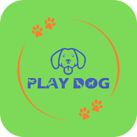 PLAYDOG