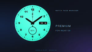 Mint Meridian Watch Face Screenshot 0
