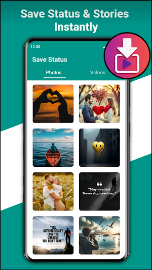 MDS Video Downloader Screenshot 2