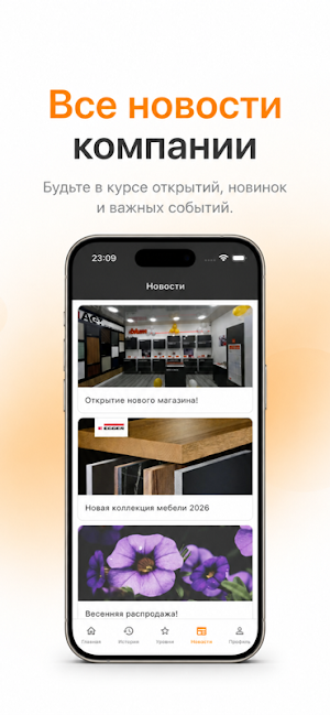 Promebel Screenshot 2