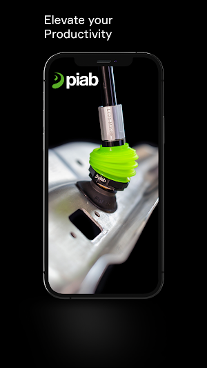 piAUDIT Screenshot 2