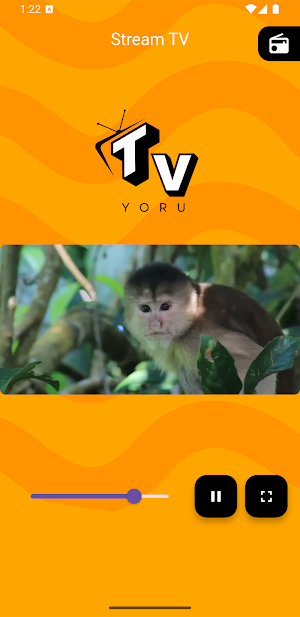 Rádio e TV Yoru Screenshot 1