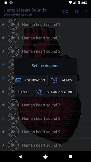 Human heart sounds ~ Sboard.pro Screenshot 2