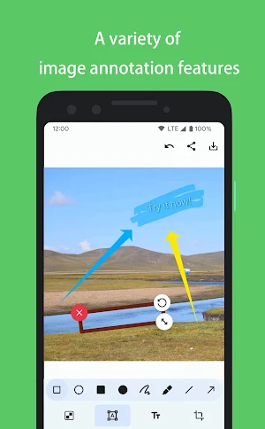 PicMarker: Mosaic & Markup Screenshot 3