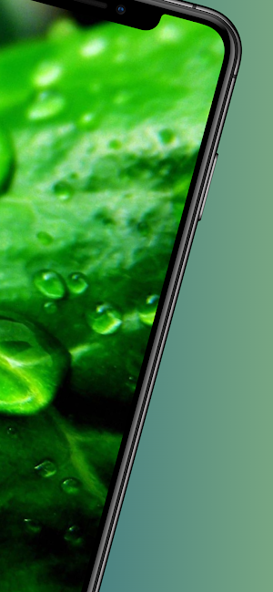 Drops wallpeper -4k live Screenshot 1