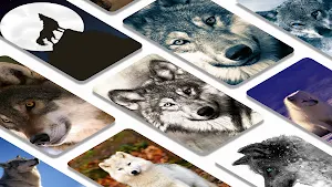 Wolf wallpapers backgrounds Screenshot 1