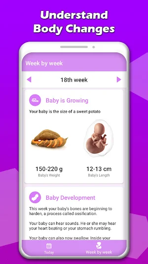 Pregnancy Tracker Screenshot 1