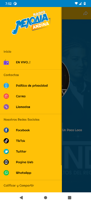 Melodia Andina Screenshot 2