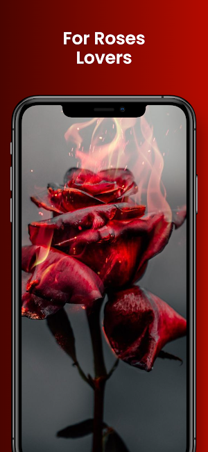 Rose Floral Wallpapers Screenshot 0