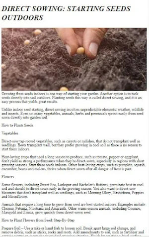 How to Start Seeds & Planting Screenshot 2