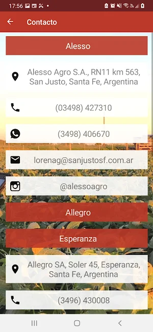 Grupo Allo Screenshot 2