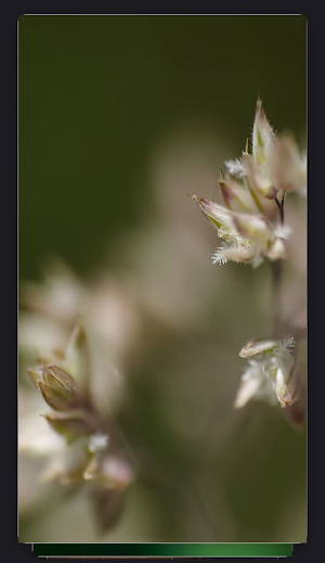 Sliding Wallpaper Screenshot 3
