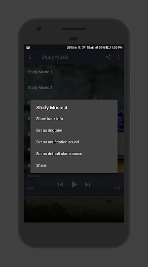 Study Music Screenshot 2