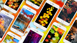 Autumn Wallpapers Screenshot 0