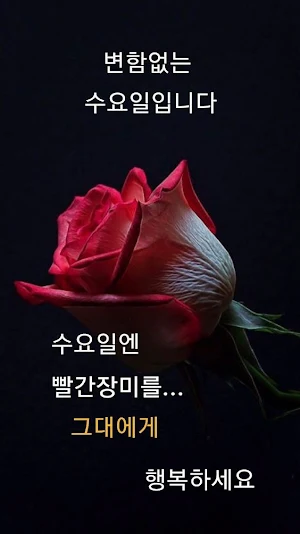 좋은 아침 이미지 Screenshot 3