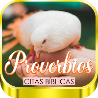 Proverbios Bíblicos y Libro
