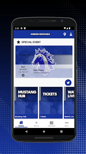 Dobson Mustangs Screenshot 0