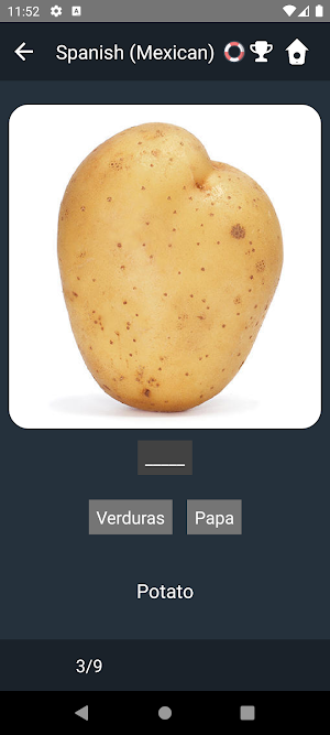 Mexican Spanish Language Tests Screenshot 3