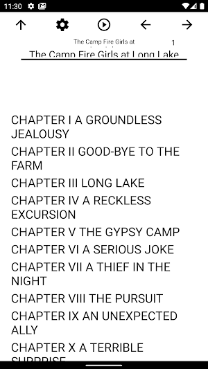 Book, The Camp Fire Girls at L Screenshot 0