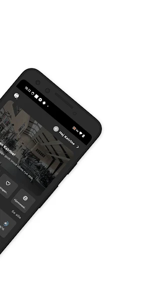 Lemvig Motioncenter 24/7 Screenshot 2