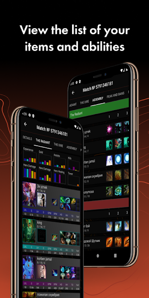 Dota 2 Assistant Screenshot 3