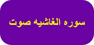 سوره الغاشيه صوت Screenshot 0