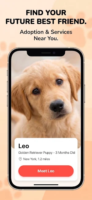 Adopt Animaux: Pet Adoption Screenshot 0