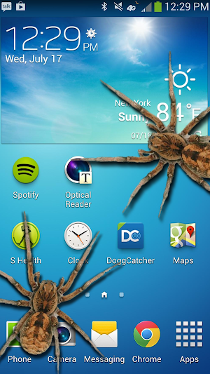 Spider in phone prank Screenshot 1