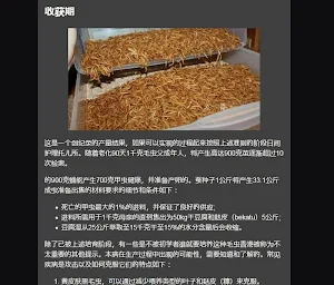 silkworm cultivation hongkong Screenshot 3