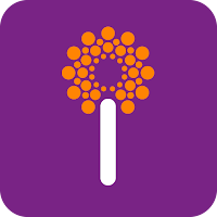 innoviti link: payment links
