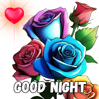 Good night flowers roses HD 4K