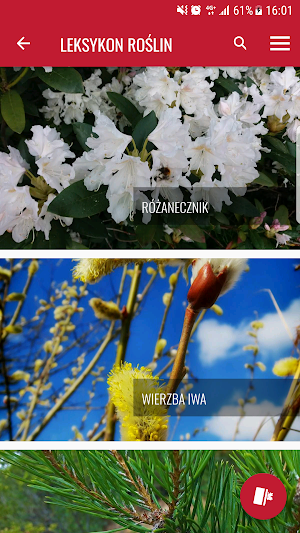 Izerska Łąka Screenshot 2