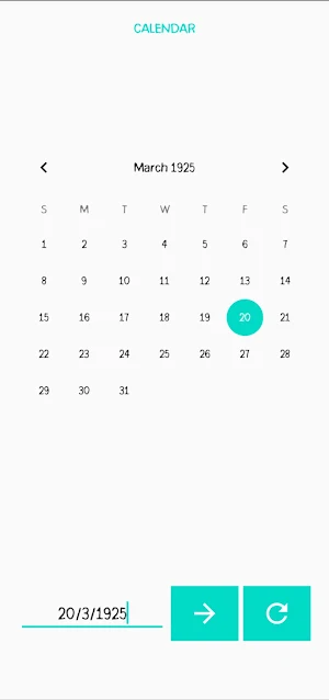 Calendar Screenshot 2