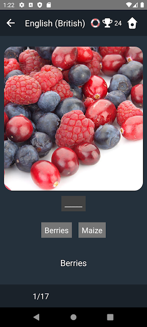 British English Language Tests Screenshot 3