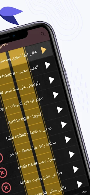 أغاني الراي 2026 بدون نت Screenshot 0