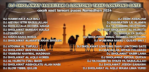 Dj Sholawat Nabi Habbitak 2024 Screenshot 0