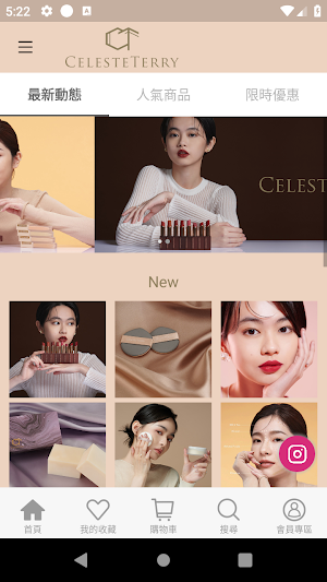 CelesteTerry Cosmetics Screenshot 2