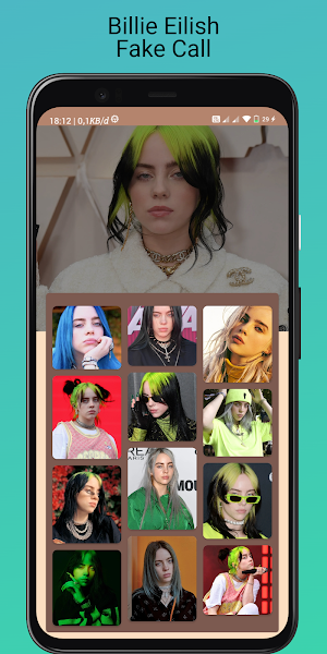 Billie Eilish + Fake Call Screenshot 3