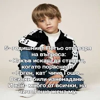 Вицове