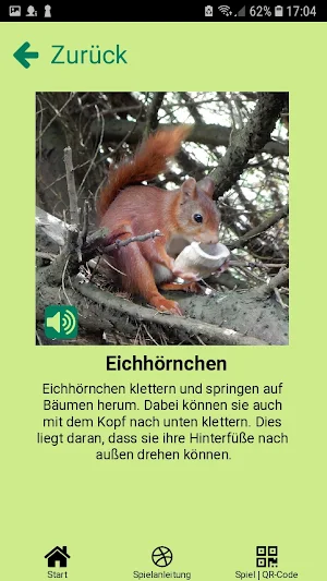Sehen - Hören - Merken Screenshot 3